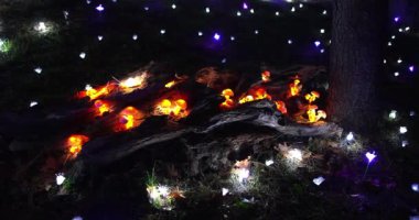 Ormanda parlayan mantarlı Noel süsleri