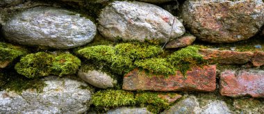 Taş ve yosun duvarı