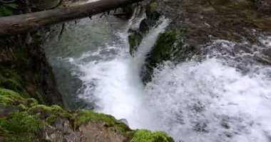 Dolomite ormanında gizli şelaleler