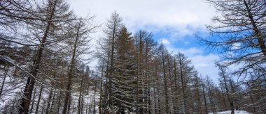 Alpe Devero 'da kış manzarası