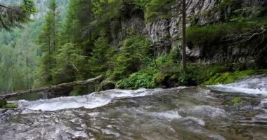  Dolomite ormanında bilinmeyen bir yer