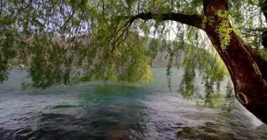  Lugano Gölü 'ndeki bahar manzarası