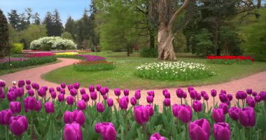 Lale labirentinde bahar manzarası