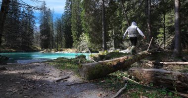 Çocuk Dolomitik bir ormanı keşfediyor.
