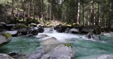 Lares şelalelerinde bahar manzarası