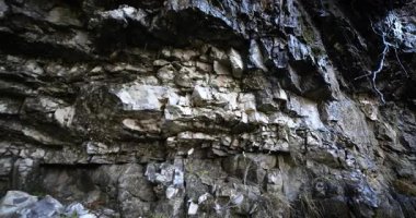 Dolomite kayalarından bir damla su.