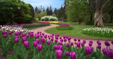 Baharda çok renkli Lale Labirenti