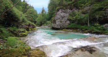 Dolomitlerdeki bir derede zümrüt suyu