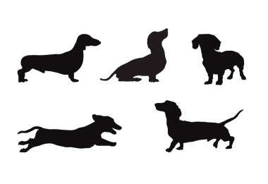 Dachshund siluet vektörü, farklı pozlarda siyah köpek silueti, beyaz arka planda el çizimi siyah köpekler.