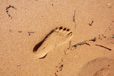 Yazın Islak Kumda Çocuğun Sol Ayak İzi