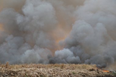 Beyaz ve siyah duman, kırmızı tozlu duman arka planda çimen tarlalarında yangın, gökyüzüne siyah ve beyaz duman. Yakından büyük bir yangın var. Hava konseptinde kirlilik. Savaştan çıkan dumanı tüttürmek için ateş.
