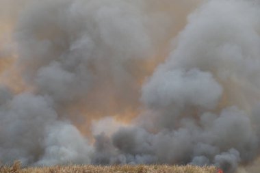 Beyaz ve siyah duman, kırmızı tozlu duman arka planda çimen tarlalarında yangın, gökyüzüne siyah ve beyaz duman. Yakından büyük bir yangın var. Hava konseptinde kirlilik. Savaştan çıkan dumanı tüttürmek için ateş.