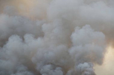 Beyaz duman deseni, çimen tarlalarında yanan kırmızı ateş alevi, ormanlar ve gökyüzüne doğru siyah beyaz duman. Yakından büyük bir yangın var. Hava konseptinde kirlilik. Vahşi ateş, dünyadaki çalıları kirletiyor..