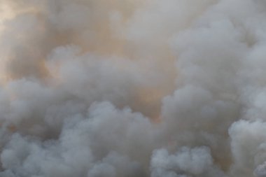 Siyah duman deseni, çimen tarlalarında yanan kırmızı ateş alevi, ormanlar ve gökyüzüne doğru siyah beyaz duman. Yakından büyük bir yangın var. Hava konseptinde kirlilik. Vahşi ateş, dünyadaki çalıları kirletiyor..