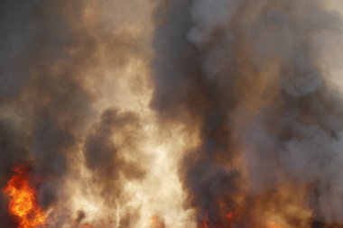 Siyah duman deseni, çimen tarlalarında yanan kırmızı ateş alevi, ormanlar ve gökyüzüne doğru siyah beyaz duman. Yakından büyük bir yangın var. Hava konseptinde kirlilik. Vahşi ateş, dünyadaki çalıları kirletiyor..