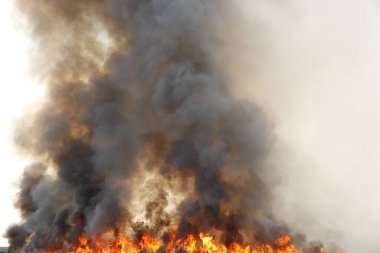Siyah duman deseni, çimen tarlalarında yanan kırmızı ateş alevi, ormanlar ve gökyüzüne doğru siyah beyaz duman. Yakından büyük bir yangın var. Hava konseptinde kirlilik. Vahşi ateş, dünyadaki çalıları kirletiyor..