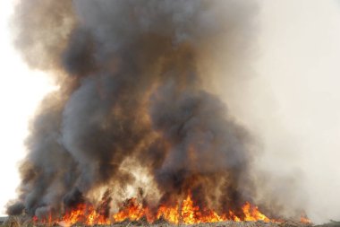 Çimen tarlalarında yanan ateşin kırmızı duman desenli arka planı, gökyüzüne doğru siyah beyaz duman. Yakından büyük bir yangın var. Hava konseptinde kirlilik. Savaştan çıkan dumanı tüttürmek için ateş.