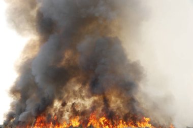 Çimen tarlalarında yanan ateşin kırmızı duman desenli arka planı, gökyüzüne doğru siyah beyaz duman. Yakından büyük bir yangın var. Hava konseptinde kirlilik. Savaştan çıkan dumanı tüttürmek için ateş.