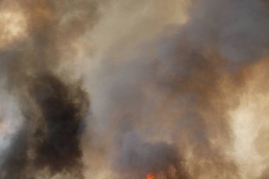 Siyah duman deseni, çimen tarlalarında yanan kırmızı ateş alevi, ormanlar ve gökyüzüne doğru siyah beyaz duman. Yakından büyük bir yangın var. Hava konseptinde kirlilik. Vahşi ateş, dünyadaki çalıları kirletiyor..