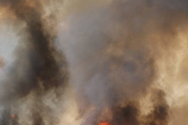 Kırmızı alevler çimen tarlalarında, ormanlarda ve gökyüzüne doğru siyah beyaz dumanlarda yanar. Yakından büyük bir yangın var. Hava konseptinde kirlilik. Vahşi ateş, dünyadaki çalıları kirletiyor..