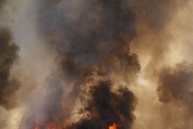 Kırmızı alevler çimen tarlalarında, ormanlarda ve gökyüzüne doğru siyah beyaz dumanlarda yanar. Yakından büyük bir yangın var. Hava konseptinde kirlilik. Vahşi ateş, dünyadaki çalıları kirletiyor..