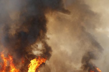 Kırmızı alevler çimen tarlalarında, ormanlarda ve gökyüzüne doğru siyah beyaz dumanlarda yanar. Yakından büyük bir yangın var. Hava konseptinde kirlilik. Vahşi ateş, dünyadaki çalıları kirletiyor..