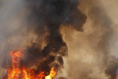 Kırmızı alevler çimen tarlalarında, ormanlarda ve gökyüzüne doğru siyah beyaz dumanlarda yanar. Yakından büyük bir yangın var. Hava konseptinde kirlilik. Vahşi ateş, dünyadaki çalıları kirletiyor..