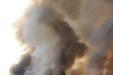 Kırmızı alevler çimen tarlalarında, ormanlarda ve gökyüzüne doğru siyah beyaz dumanlarda yanar. Yakından büyük bir yangın var. Hava konseptinde kirlilik. Vahşi ateş, dünyadaki çalıları kirletiyor..