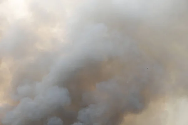 stock image White and black smoke, red raging dust smoke pattern background of fire burn in grass fields, black and white smoke to sky. Big wildfire close-up. pollution in air concept. fire make to smoke bush smoke from war.