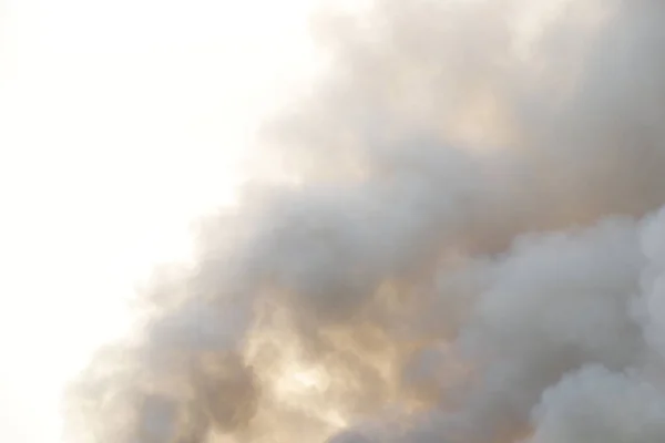 stock image White smoke pattern, red raging flame of fire burn in grass fields, forests and black and white smoke to sky. Big wildfire close-up. pollution in air concept. wildfire make to smoke bush pollution in world.