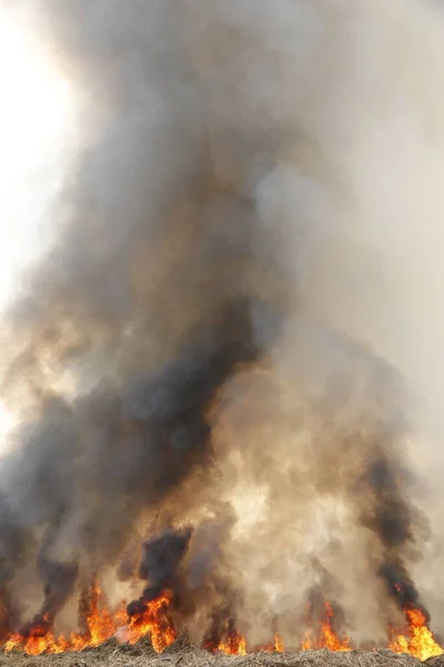 空に黒と白の煙に火の赤い荒れ狂う炎 大きな野火のクローズアップ 大気汚染です 野火は世界中のブッシュ汚染を喫煙させ — ストック写真