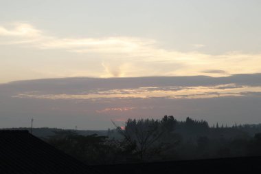Puslu orman dağlarında altın gün doğumu, çam ağaçları üzerinde dramatik ışık ışınları, manzaralı doğa manzarası, vahşi seyahat, sisli dağların üzerinde gün doğumu, sisli dağların üzerinde görkemli altın gün doğumu, orman vadilerinde sis yerleşen sis.