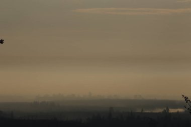 Puslu orman dağlarında altın gün doğumu, çam ağaçları üzerinde dramatik ışık ışınları, manzaralı doğa manzarası, vahşi seyahat, sisli dağların üzerinde gün doğumu, sisli dağların üzerinde görkemli altın gün doğumu, orman vadilerinde sis yerleşen sis.