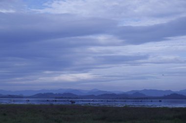 Puslu orman dağlarında altın gün doğumu, çam ağaçları üzerinde dramatik ışık ışınları, manzaralı doğa manzarası, vahşi seyahat, sisli dağların üzerinde gün doğumu, sisli dağların üzerinde görkemli altın gün doğumu, orman vadilerinde sis yerleşen sis.
