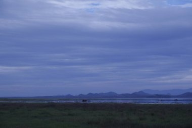 Puslu orman dağlarında altın gün doğumu, çam ağaçları üzerinde dramatik ışık ışınları, manzaralı doğa manzarası, vahşi seyahat, sisli dağların üzerinde gün doğumu, sisli dağların üzerinde görkemli altın gün doğumu, orman vadilerinde sis yerleşen sis.