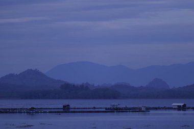 Puslu orman dağlarında altın gün doğumu, çam ağaçları üzerinde dramatik ışık ışınları, manzaralı doğa manzarası, vahşi seyahat, sisli dağların üzerinde gün doğumu, sisli dağların üzerinde görkemli altın gün doğumu, orman vadilerinde sis yerleşen sis.