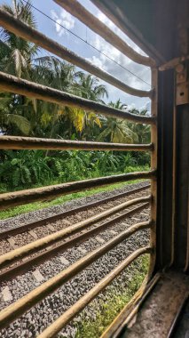 view of the nature through a train window while travelling along the countryside railway in the summer