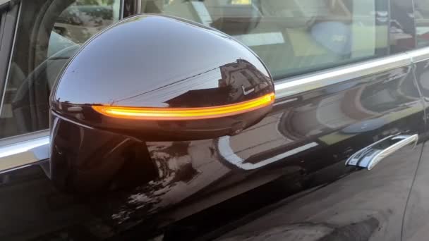 주황색 Led 표시기 신호등 깜빡거리는 자동차의 거울에 통합되어 — 비디오