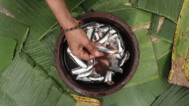 Muz yapraklarının arka planında kahverengi bir tencerede pişirmeden önce bir kadının bilezikli elinin üst görüntüsü küçük çiğ sardalya balıklarını yıkıyor ve temizliyor.