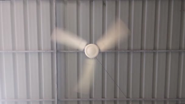 古い金属屋根に固定された部屋の風冷却のための速い回転刃が付いている白い電気天井ファン — ストック動画