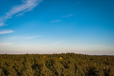Mavi gökyüzüne karşı kozalaklı ağaçların tepeleri kuş bakışı seyrek bulutlarla kaplı..
