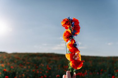 Elinde bir demet kır çiçeği var. Gökyüzüne karşı kırmızı gelinciklerden, mavi çiçeklerden ve papatyalardan örülmüş bir buket.