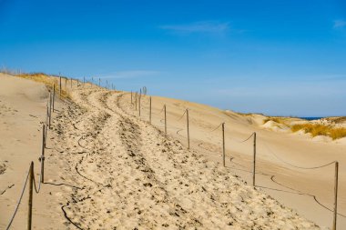 Gri Kumullar ya da Ölü Kumullar, Litvanya 'nın Curonian Tükürüğünün Litvanya tarafında yeşil benekleri olan kumlu tepelerdir..