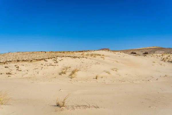 stock image The Gray Dunes, or the Dead Dunes is sandy hills with a bit of green specks at the Lithuanian side of the Curonian Spit.