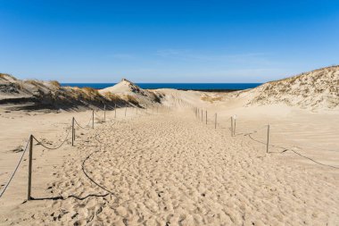Gri Kumullar ya da Ölü Kumullar, Litvanya 'nın Curonian Tükürüğünün Litvanya tarafında yeşil benekleri olan kumlu tepelerdir..