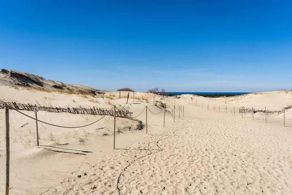 stock image The Gray Dunes, or the Dead Dunes is sandy hills with a bit of green specks at the Lithuanian side of the Curonian Spit.