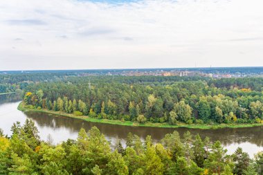 Neman 'ın ya da Nemunas Nehri' nin Sonbahar Ormanı, Druskininkai, Litvanya.