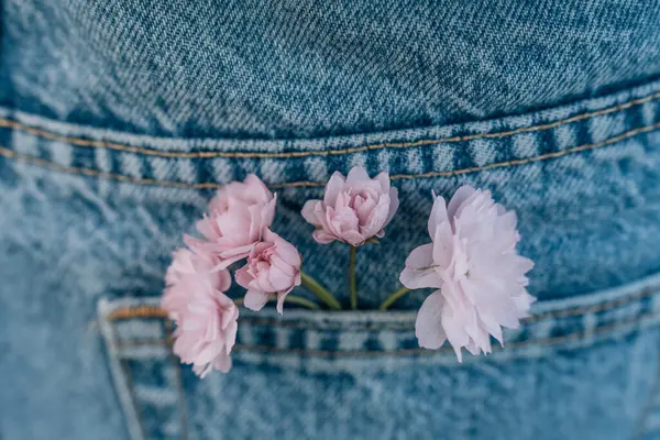 Finom Rózsaszín Japán Cseresznyevirág Áll Kék Farmer Zsebében Szelektív Fókusz — Stock Fotó