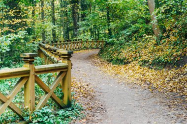 Ağaçtan korkuluklar ve düşen sonbahar yapraklarıyla orman yolu.