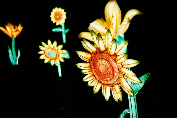 London England Грудня 2021 Brightly Illuminated Flowers Lightopia Crystal Palace Стокова Картинка